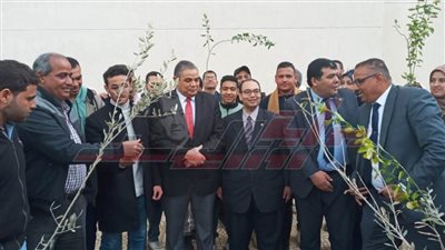 دعم جامعة كفر الشيخ بـ500 شجرة مثمرة ضمن مبادرة 