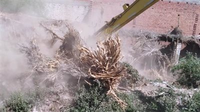 إزالة 1144 تعديًا ضمن المرحلة الثالثة من الموجة 19 ببني سويف 