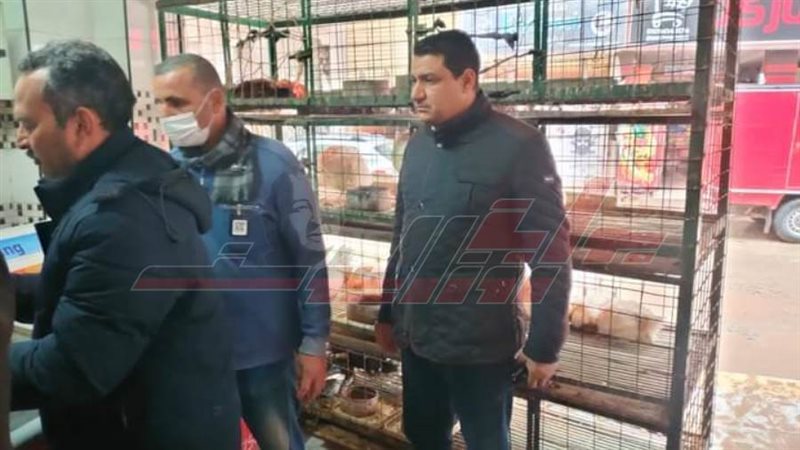 الحملات الرقابية