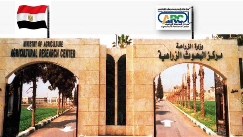 بحوث الصحراء