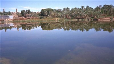 تشفي العليل.. آبار موط الكبريتية الساخنة بالوادي الجديد مقصد سياحي للاستشفاء