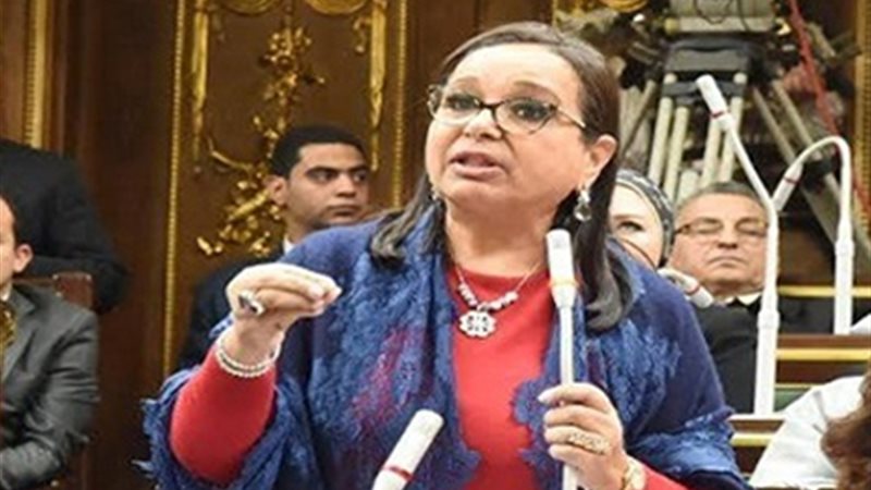 تكتل نائبات مصر يدعم