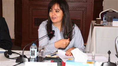 الوكالة الإقليمية للاستثمار بالكوميسا تنظم ورشة عمل لتحسين مناخ الاستثمار بمشاركة مصر