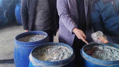 ضبط ٥٠ طن مخلل غير صالح للاستهلاك الآدمي في حملة بالبحيرة 