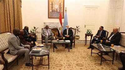 القاهرة تبحث مع تشاد إجراء توأمة بين العاصمتين 