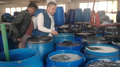 تموين برج العرب بالإسكندرية تضبط ٨ أطنان مخللات