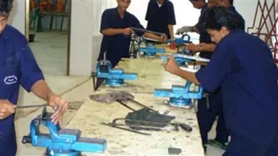 خبراء في التعليم والعمل يدعون إلى مواءمة برامج التعليم مع سوق العمل في مصر