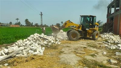 إزالة 17 حالة تعدٍ على الأراضي الزراعية وأملاك الدولة بالبحيرة