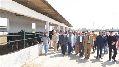 ١٠٠٠ رأس ماشية زيادة بمزرعة عاداة بكفر الدوار لسد الفجوة الغذائية والقضاء على الاحتكار