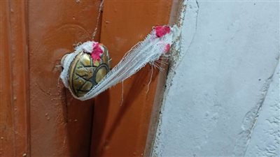 ضبط ٤ منشآت طبية بدون ترخيص وغلق ٣ معامل فى حملة بالبحيرة