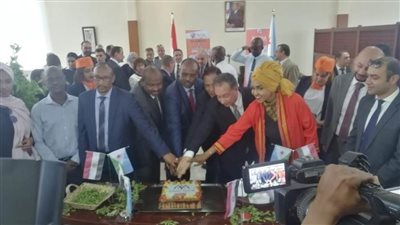 بتوجيهات رئاسية: إطلاق قافلة عيون لدولة جيبوتي
