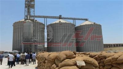 اليوم.. بدء موسم توريد القمح بـ21 موقعا في كفر الشيخ