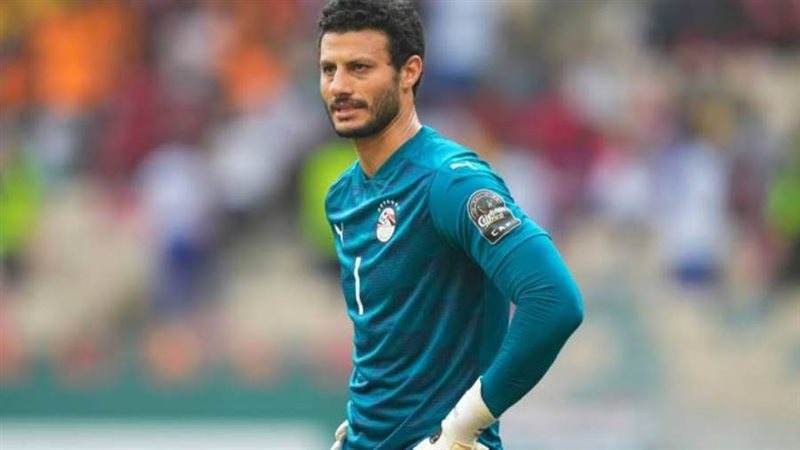 محمد الشناوي