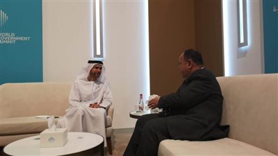 ننشر تفاصيل لقاء وزيري المالية المصري والإماراتي