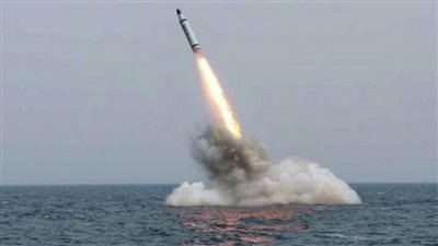 الجيش الروسي: دمرنا مصفاة نفط و3 مستودعات وقود في منطقة أوديسا