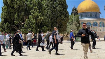 166 مستوطنًا يقتحمون باحات الأقصى بحماية شرطة الاحتلال الإسرائيلي
