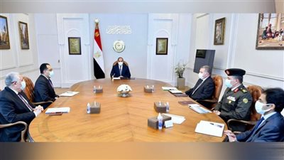 الرئيس السيسي يوجه بإعداد تقييم دقيق ومتكامل لتجربة زراعة القطن قصير التيلة