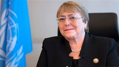 مفوضة حقوق الإنسان: التقارير الواردة من 