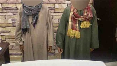 ضبط شقيقين بالقاهرة هاربين من مؤبد 