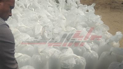 ضبط 161 ألف وحدة زريعة بلطي محملة على سيارة بكفر الشيخ