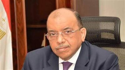 اللواء محمود شعراوي: 12,4 ألف مشروع  نفذها 