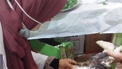 بيطري الشرقية يحصن 369 ألفا و196 طائرا ضد مرض أنفلونزا الطيور 