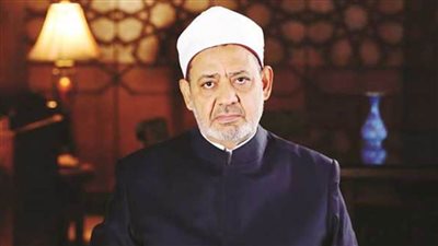 الإمام الأكبر: منطق الأخوة يقتضي الرحمة بين العباد