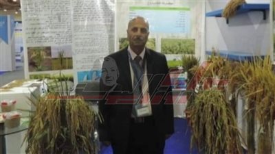 حصول الدكتور حمدي الموافي على الميدالية الذهبية من جنيف لتطويره الأرز الهجين بكفر الشيخ