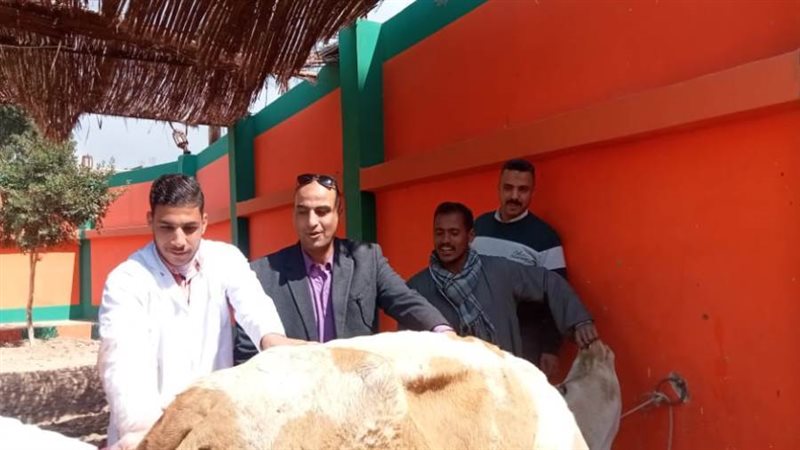 بيطري المنيا