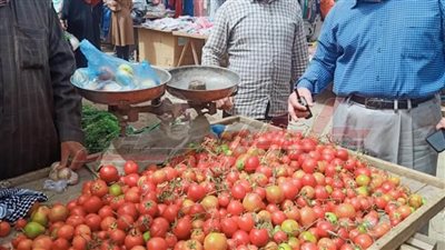 حملات تموينية مكبرة على أسواق بلطيم في كفر الشيخ