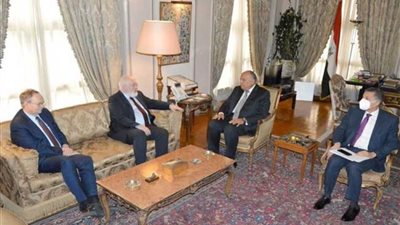 شكرى يبحث مع نائب رئيس مفوضية الاتحاد الأوروبي التنفيذي استعدادات مؤتمر المناخ