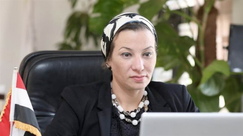 الدكتورة ياسمين فؤاد