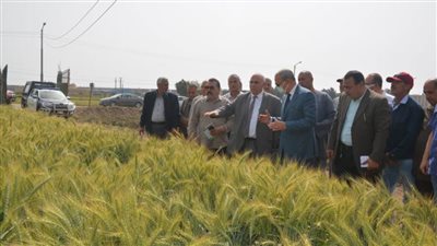 محافظ القليوبية للمزارعين: عقوبات للممتنعين عن تسليم القمح بمنع صرف الأسمدة المدعمة 