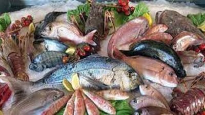 أسعار الأسماك اليوم الاثنين 11 إبريل 2022 في سوق العبور 