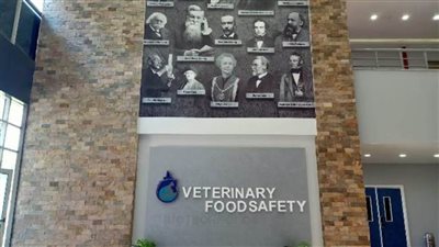 كيف يتعامل مرضى الأنيميا والحوامل مع شهر رمضان!