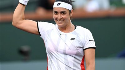 تصنيف أنس جابر و