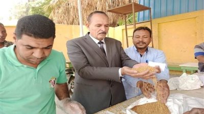 محافظة قنا تفتتح موسم توريد القمح باستلام 240 طنا لموسم 2022