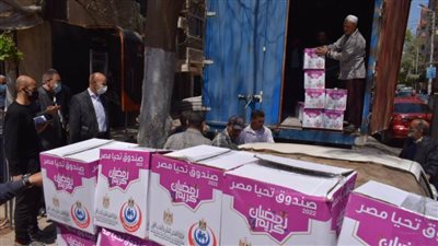 صندوق تحيا مصر.. توزيع 4 آلاف كرتونة مواد غذائية على العاملين بصحة الشرقية 
