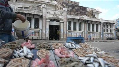 سعر السمك اليوم الثلاثاء فى الأسواق 