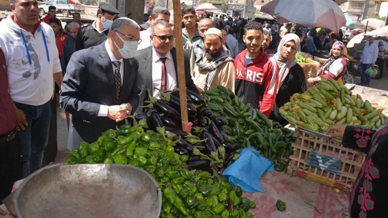 محافظ المنيا يتفقد