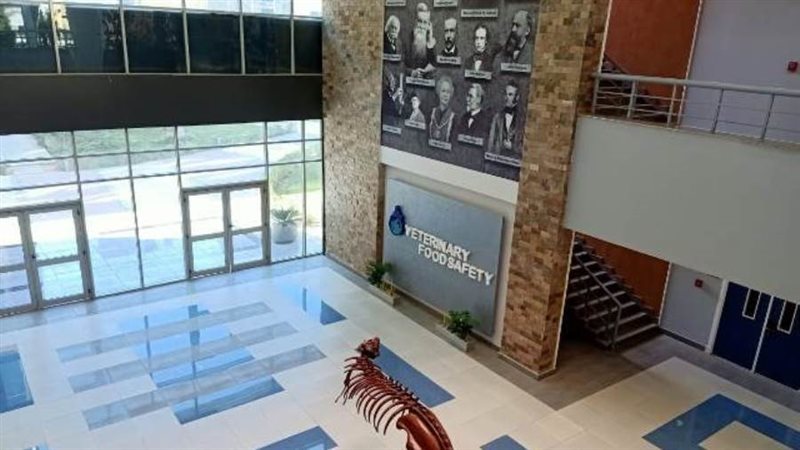 كلية الطب البيطرى