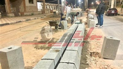 رؤساء المركز والمدن يتابعون الحملات المختلفة بكفر الشيخ