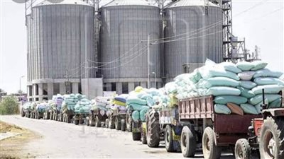 صوامع غلال  الشركة المصرية بالخارجة تستعد لاستقبال 45000 طن هذا العام