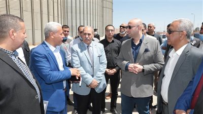 تقرير يومي عن موقف توريد القمح ببني سويف 