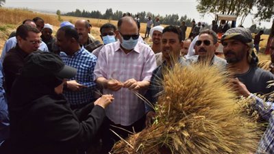 بالطبل البلدي والمزمار.. محافظ أسيوط يشهد بدء موسم حصاد القمح بـ