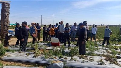 وفد متعدد الجنسيات يزور مركز المكافحة المتكاملة للآفات بأبوصوير