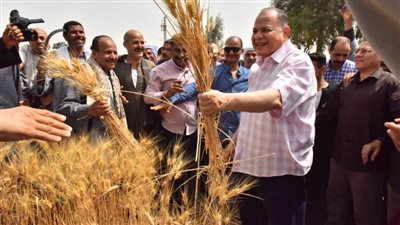 محافظ أسيوط يقوم بحصاد محصول القمح مع المزارعين 
