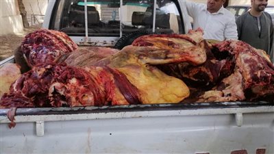 تحرير 8 مخالفات تموينية وضبط لحوم غير صالحة للاستخدام الآدمي بالعدوة في المنيا