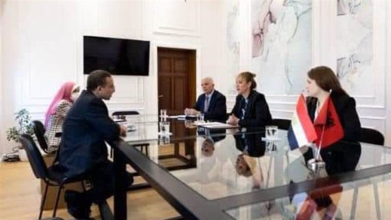 السفير المصري في