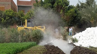 إزالة 9 حالات تعد على الأراضي الزراعية وأملاك الدولة بمركزين بالمنيا